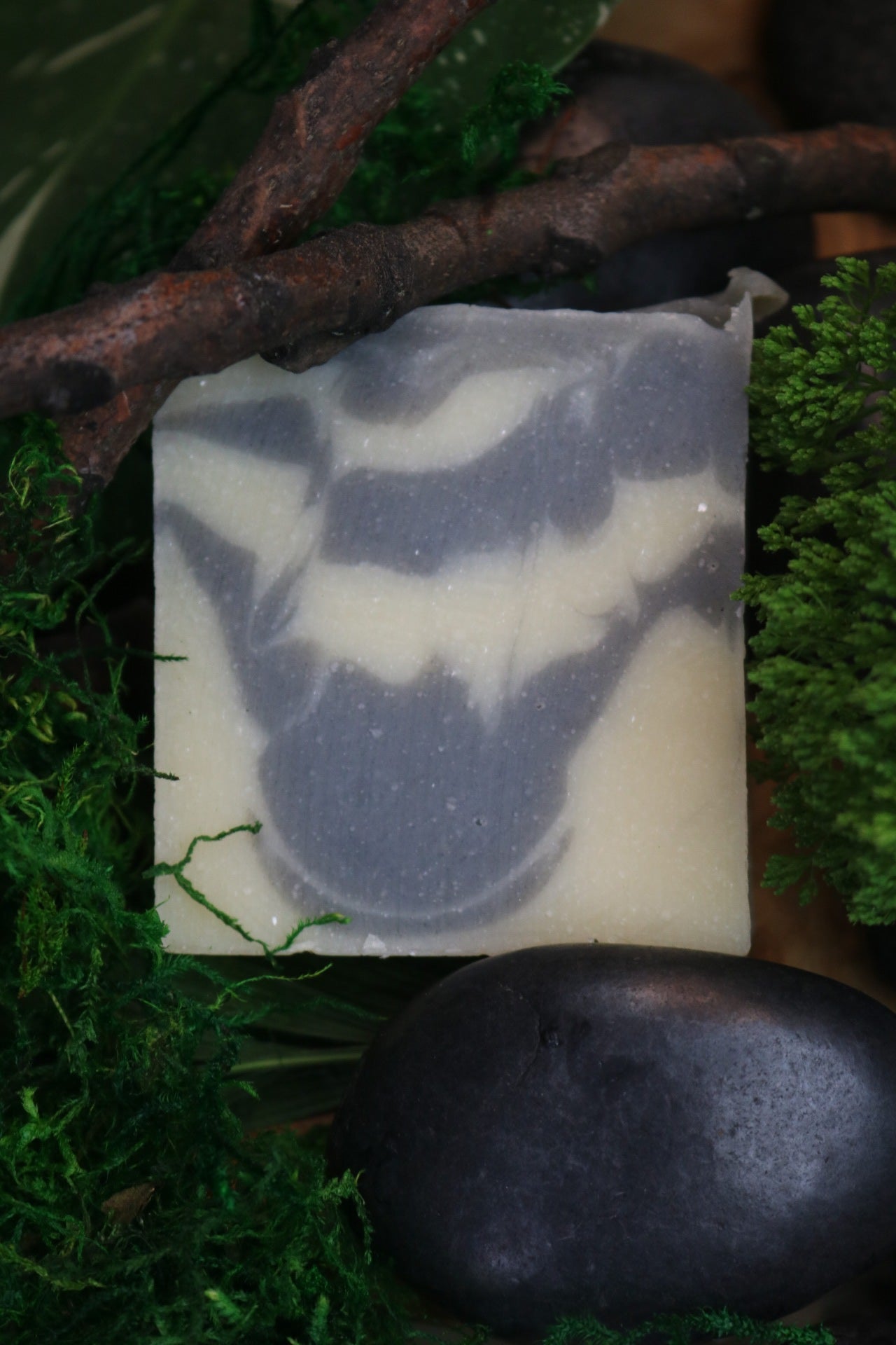 Midnight Reef Bar Soap