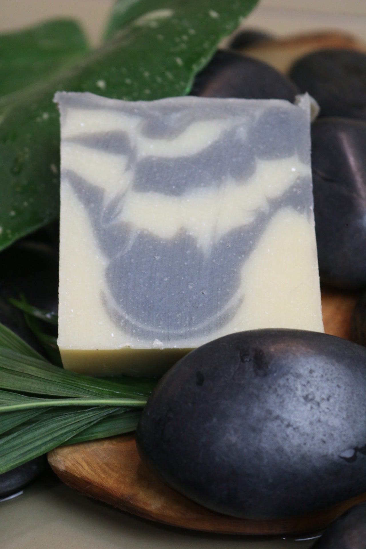 Midnight Reef Bar Soap